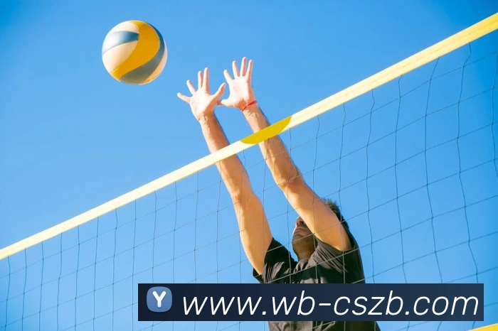 彩神争霸平台生态图